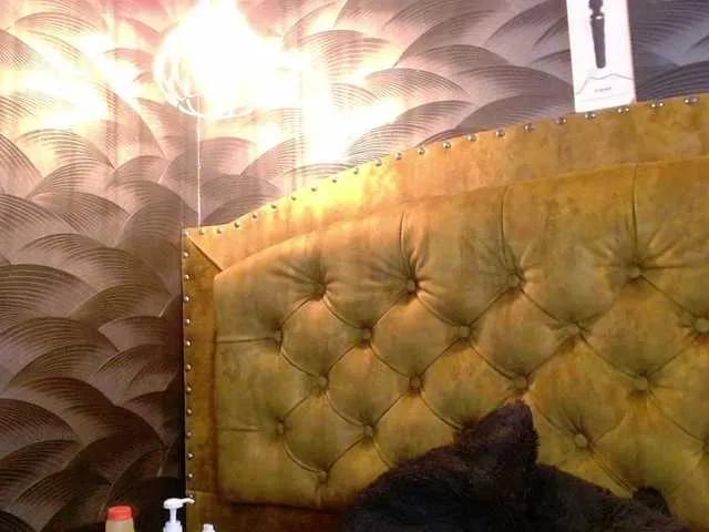 Freechat CrystalBrooke3x on BongaCams