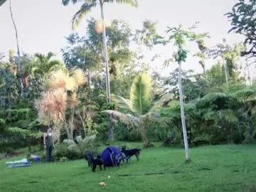 Freechat kaileeshy on Chaturbate