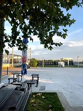 baramadalin on StripChat 