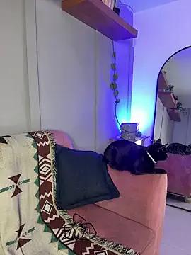 Freechat DakotaShelby on StripChat