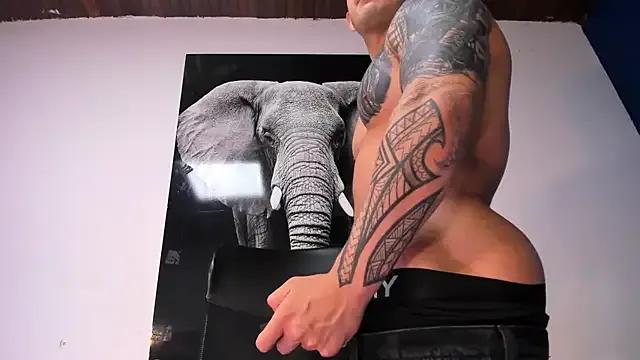 Freechat king_falconer on StripChat