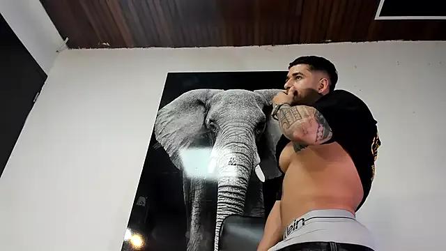 Freechat king_falconer on StripChat