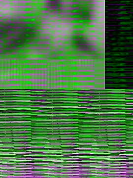 Freechat LoveOnStream on StripChat