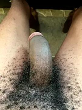 Freechat triplebeast on StripChat